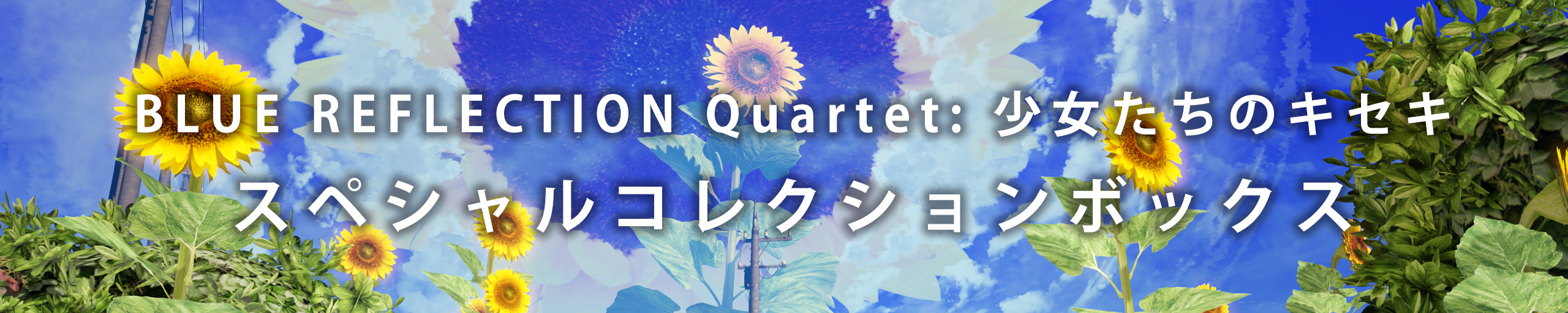 スペシャルコレクションボックス