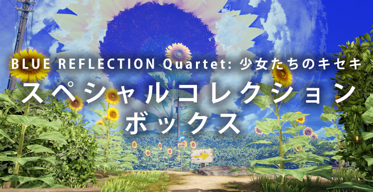 スペシャルコレクションボックス