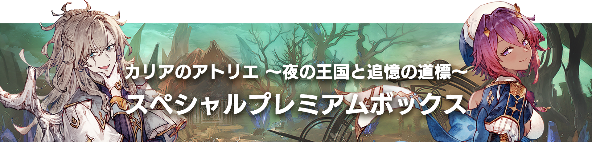 スペシャルプレミアムボックス