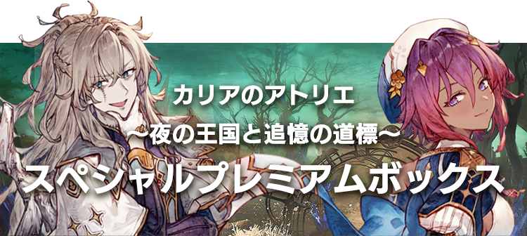 スペシャルプレミアムボックス