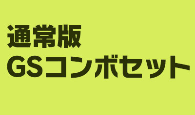 ライザのアトリエ 通常版GSコンボセット