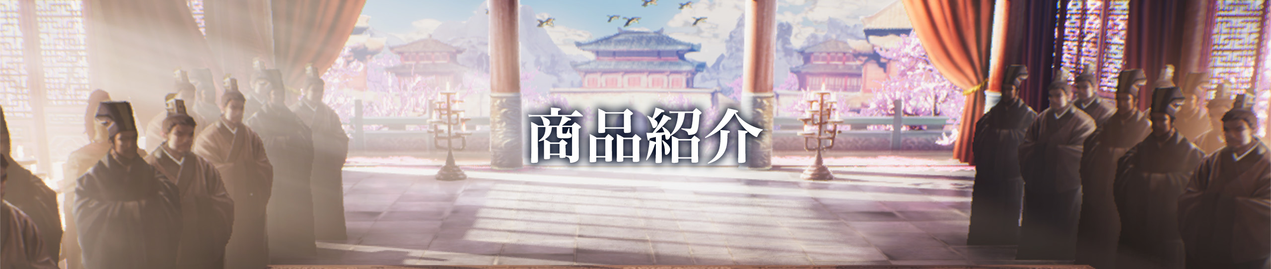 数量限定 TREASURE BOX