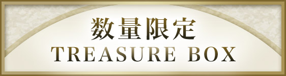 数量限定 TREASURE BOX