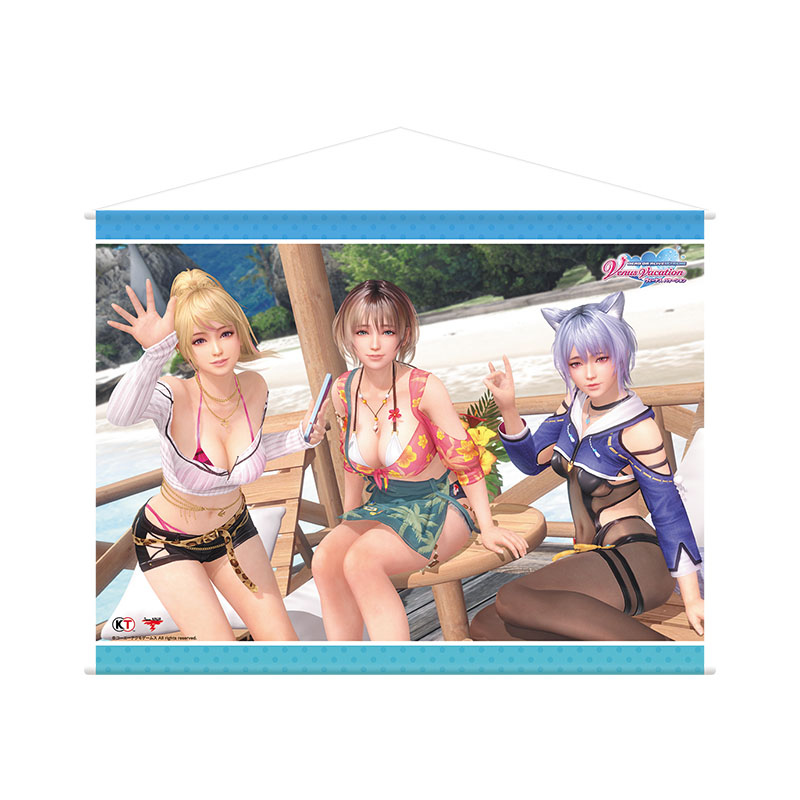 DEAD OR ALIVE Xtreme Venus Vacation 7.5周年記念くじ B2タペストリー