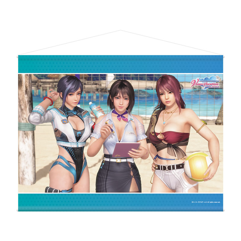 コーエーテクモゲームス / DEAD OR ALIVE Xtreme Venus Vacation B2