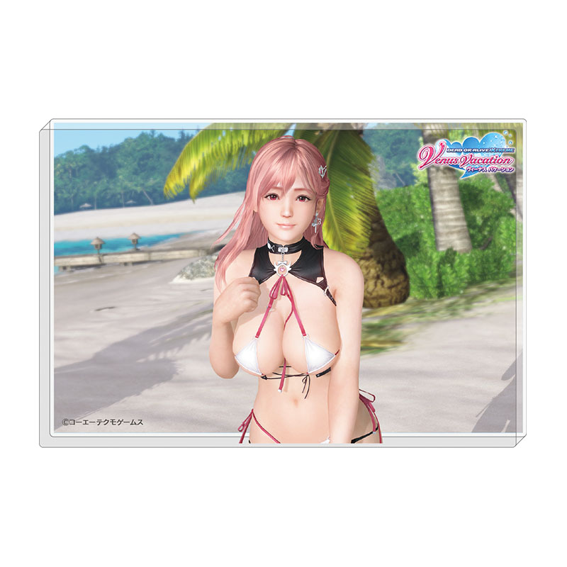 DEAD OR ALIVE Xtreme Venus Vacation 透かしアクリルブロック ほのかTC