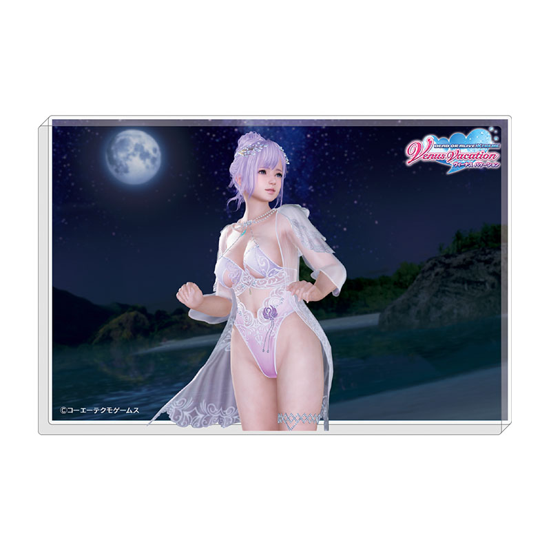 DEAD OR ALIVE Xtreme Venus Vacation 透かしアクリルブロック フィオナTC