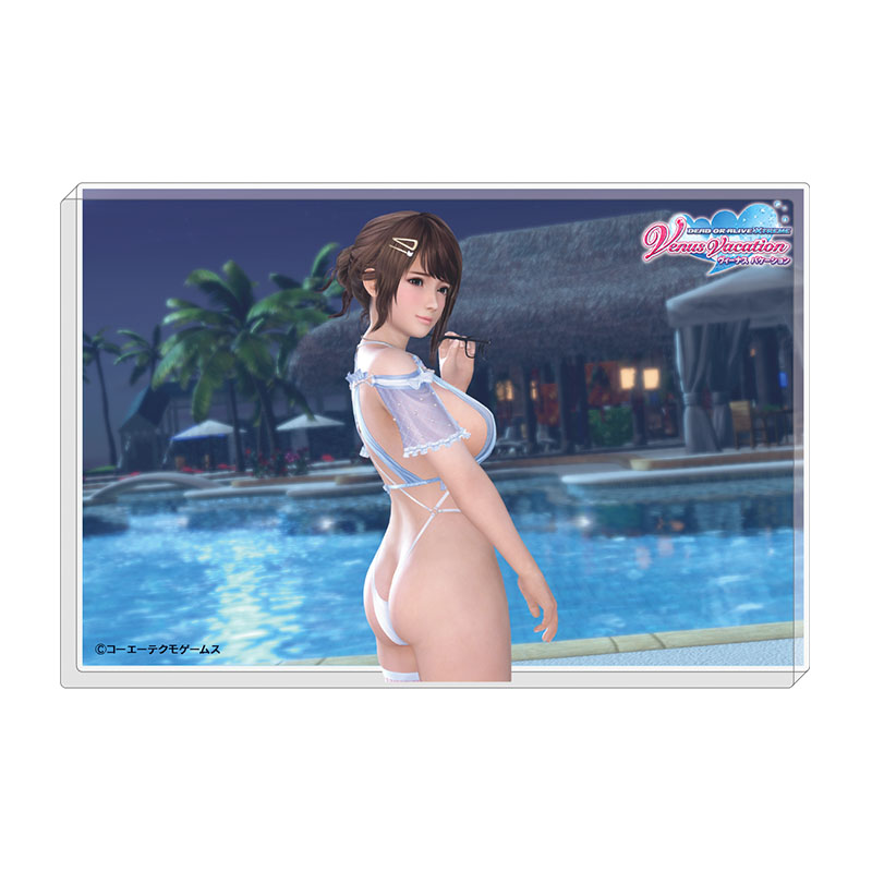 DEAD OR ALIVE Xtreme Venus Vacation 透かしアクリルブロック つくしTC