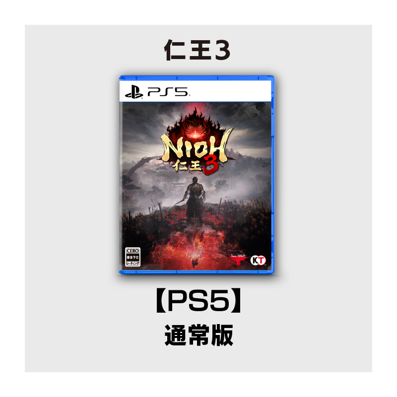 仁王3 B2販促ポスター ② 仁王3』 TREASURE BOX 予約特設サイト