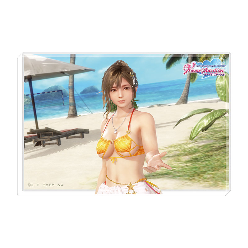 DEAD OR ALIVE Xtreme Venus Vacation 透かしアクリルブロック みさきTC
